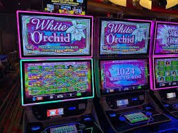 771cuci mobile gaming